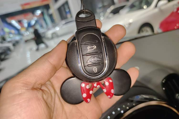 Used  Countryman 2021 2.0T COOPER S ALL4
