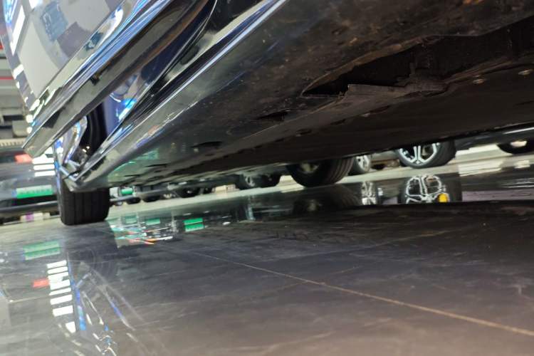 Used  06 2025 Pro Range-Extended Edition
