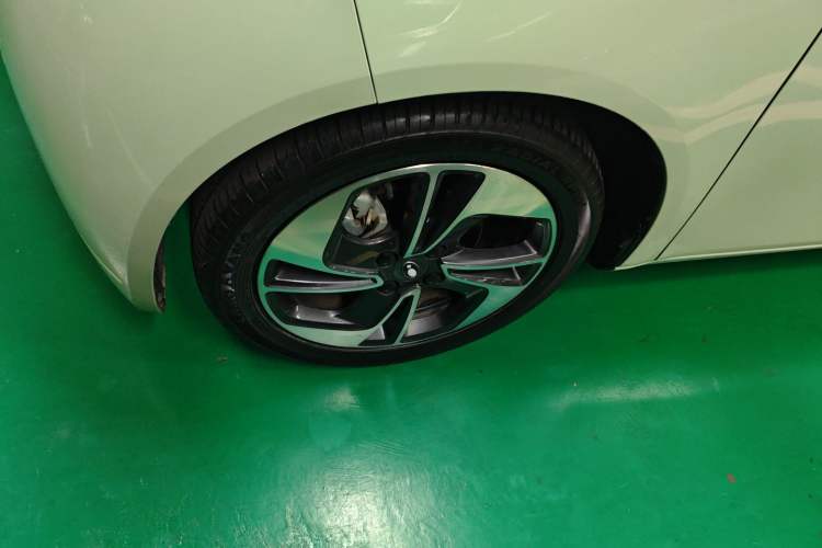 Used ORA White Cat 2020 305 km Luxury Version
