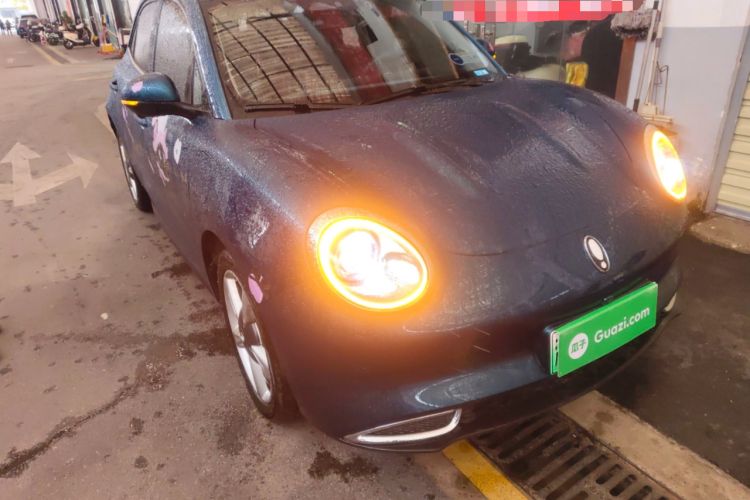 Used ORA Good Cat 2023 401 km Standard Range Luxury Version Lithium Iron Phosphate