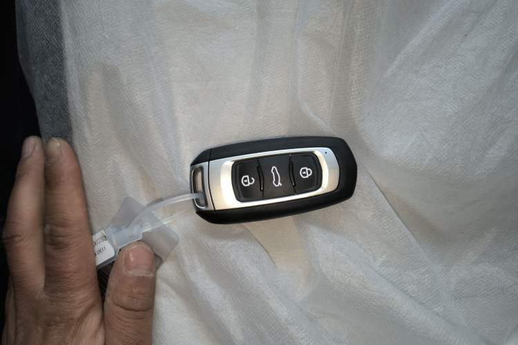 Used  Panda 2025 210 km – Yuanqi Bear
