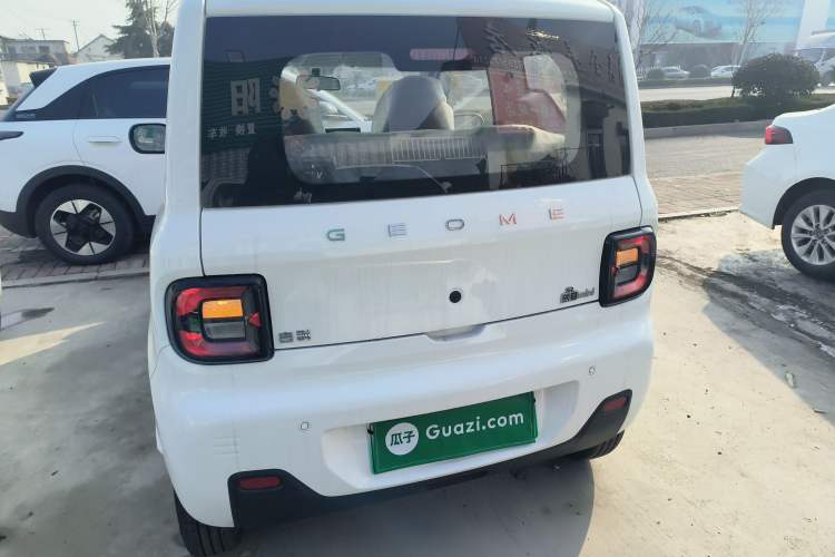 Used  Panda 2024 Panda Mini 200km Endurance Bear
