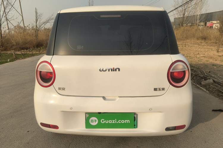 Used  Lumin 2025 205 km Xiangqin Version
