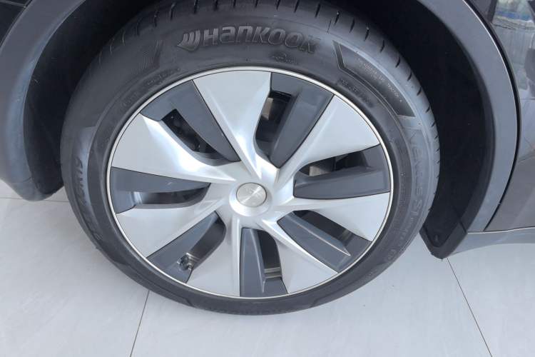 Used Tesla Model Y 2021 Standard Range Rear-Wheel Drive Version
