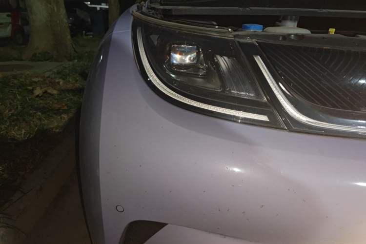 Used BYD Dolphin 2024 Honor Edition 420km Fashion Version
