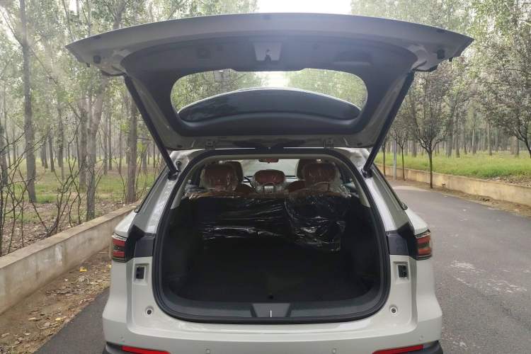 Used Haval Fierce Dragon Max 2025 Hi4 110 Pro