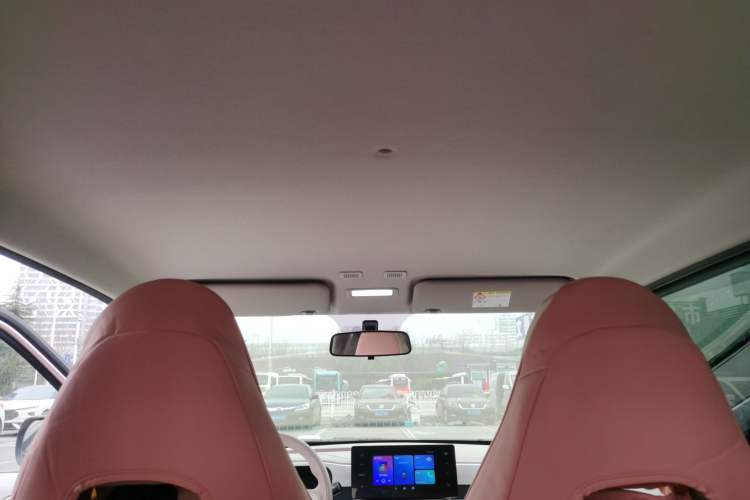 Used  Panda 2025 210 km – Yuanqi Bear