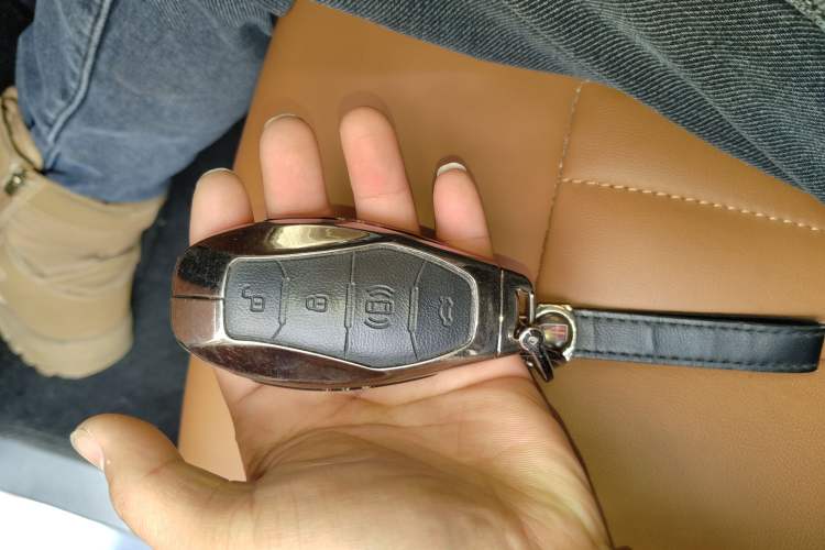 Used Hongqi HQ9 PHEV 2024 2.0T Four-Wheel Drive Business Edition
