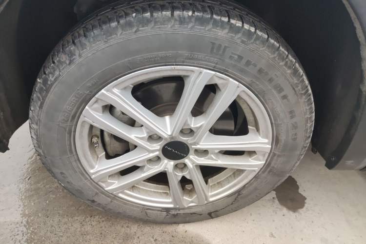 Used Dayun Yuehu 2022 30.66 kWh Two-Wheel Drive Standard Version