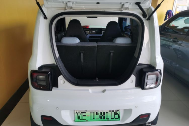 Used  Panda 2023 Panda Mini 200km Endurance Bear
