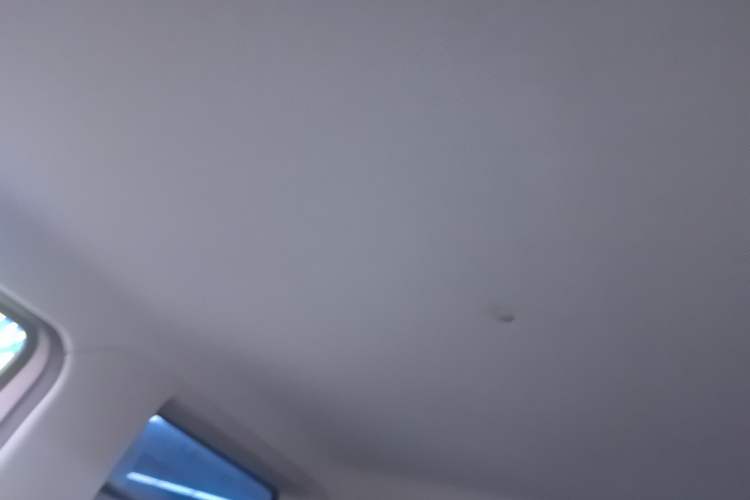 Used  Panda 2024 Panda Mini 200km Endurance Bear
