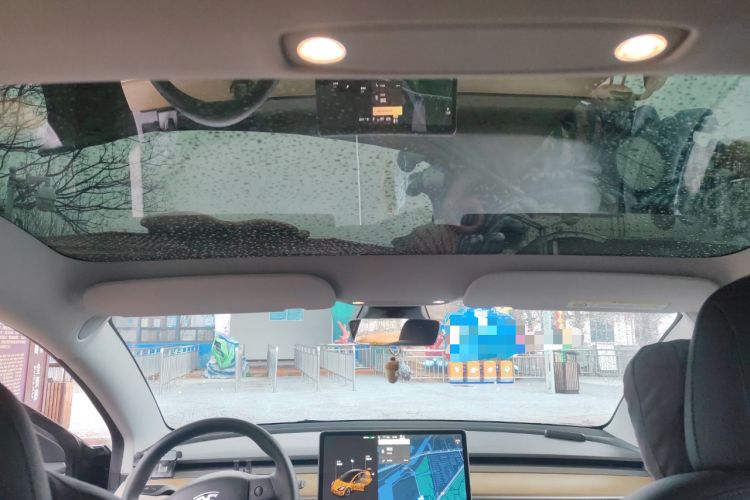 Used Tesla Model 3 2021 Standard Range Rear-Wheel Drive Upgraded Version 3D6