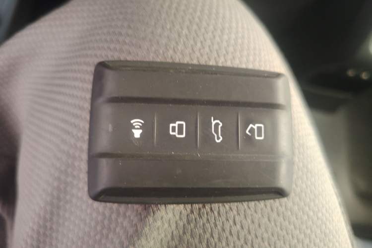 Used Tank 300 2024 2.0T Conqueror