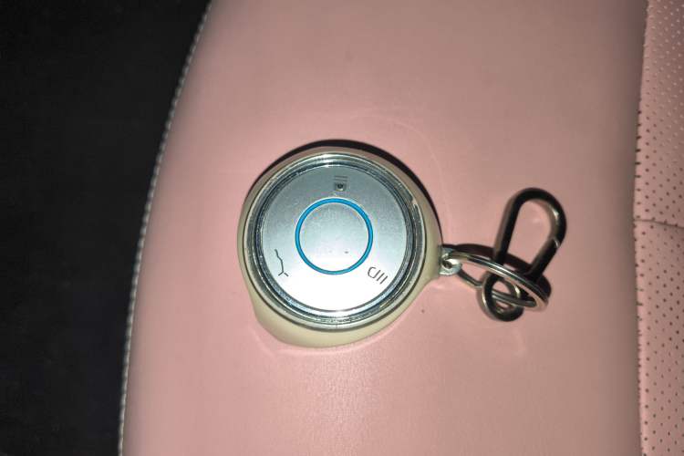 Used NETA V 2022 Chao 400 Lite Pink Custom Edition
