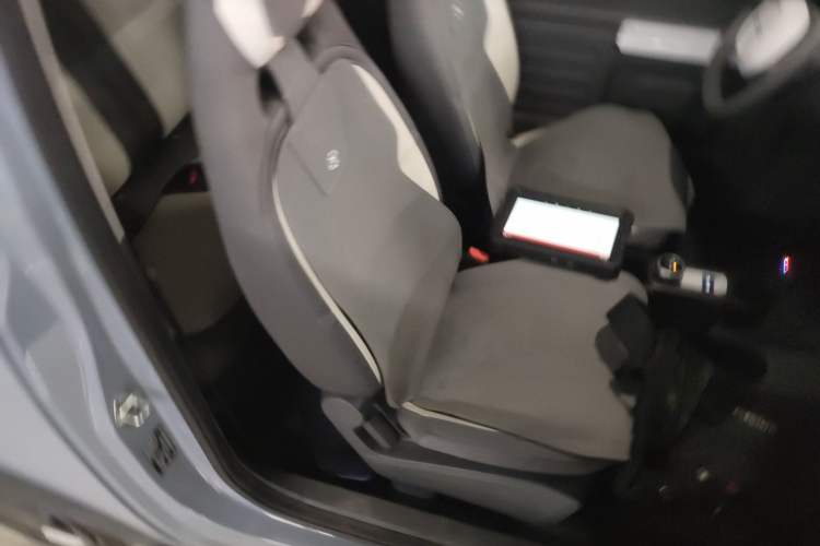 Used  Panda 2024 200km Panda Kart
