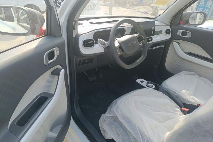 Used  Panda 2025 210 km – Yuanqi Bear