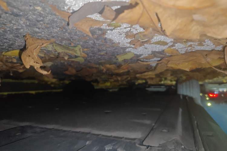 Used Volkswagen ID.4 CROZZ 2024 Pure Edition Limited Edition
