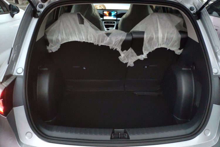 Used  Geome 2025 310km Youth Edition