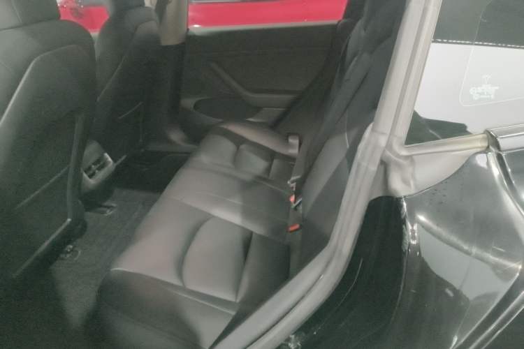 Used Tesla Model 3 2021 Standard Range Rear-Wheel Drive Upgraded Version 3D6
