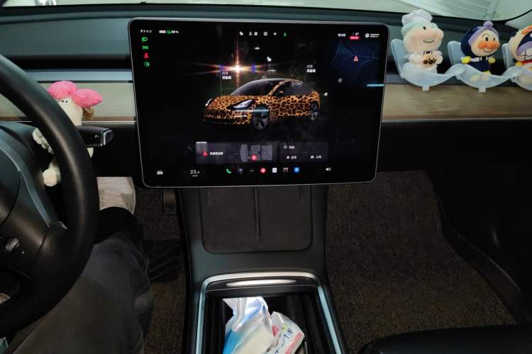 Used Tesla Model 3 2022 Rear-Wheel-Drive Version