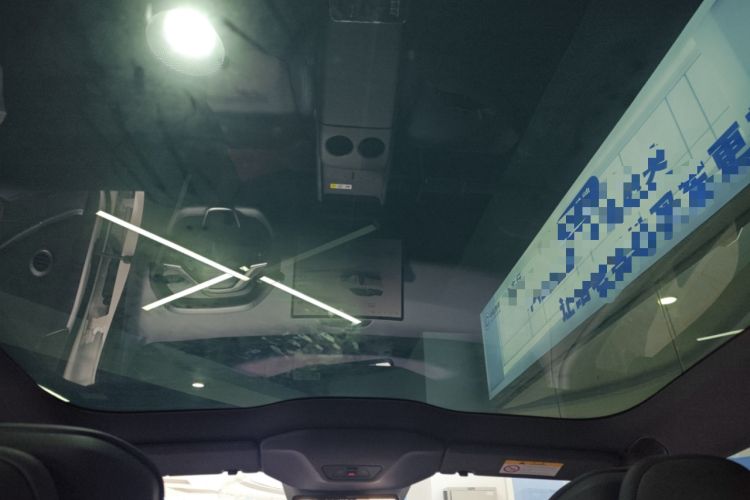 Used  06 2025 Ultra Pure Electric Edition