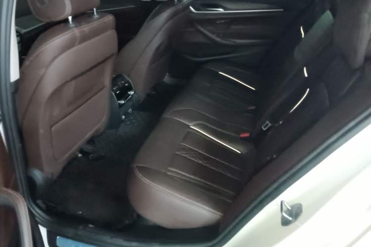 Used BMW 5 Series New Energy 2019 530Le Luxury Package