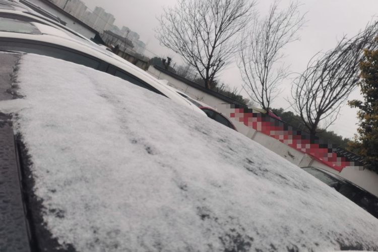 Used Ford Focus 2020 Sedan EcoBoost 180 Automatic ST Line
