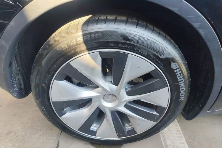 Used Tesla Model Y 2021 Standard Range Rear-Wheel Drive Version
