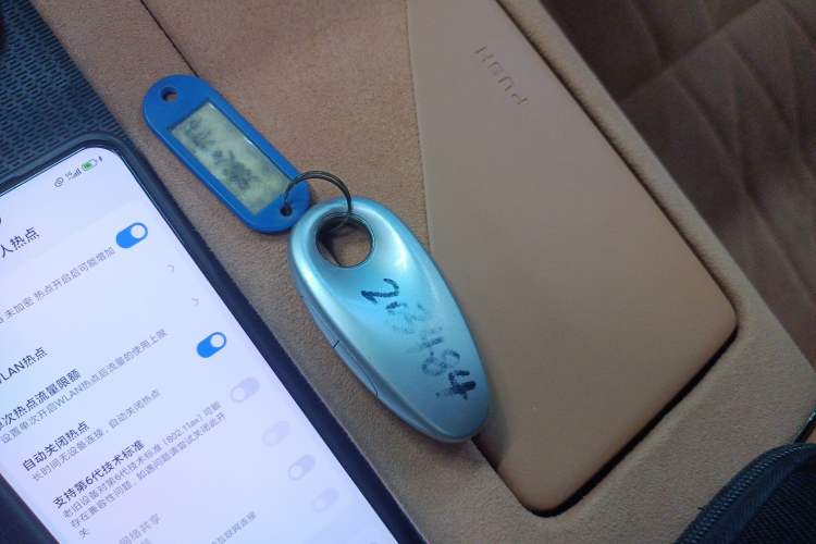 Used VOYAH PASSION 2023 Four-Wheel Drive Long-Range Version
