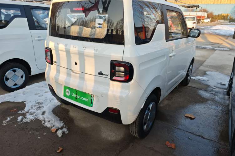 Used  Panda 2024 Panda Mini 200km Endurance Bear