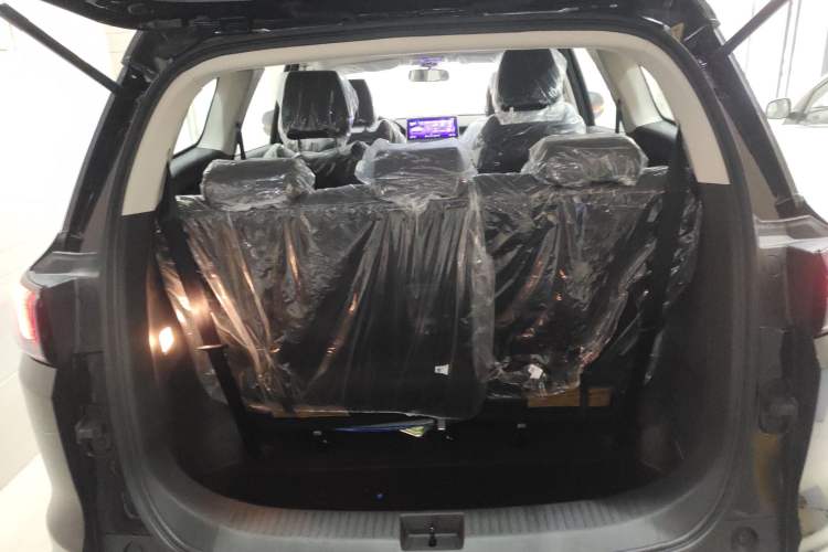 Used Dayun Yuanzhi M1 2025 7-Seater 490 Standard Edition