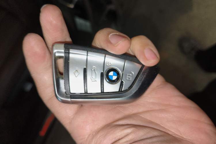 Used BMW 5 Series 2020 525Li Luxury Package