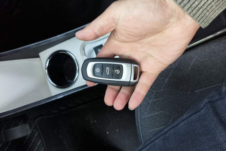 Used  Panda 2024 Panda Mini 200km Endurance Bear