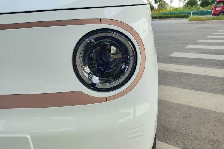 Used  Panda 2024 Panda Mini 200km Endurance Bear
