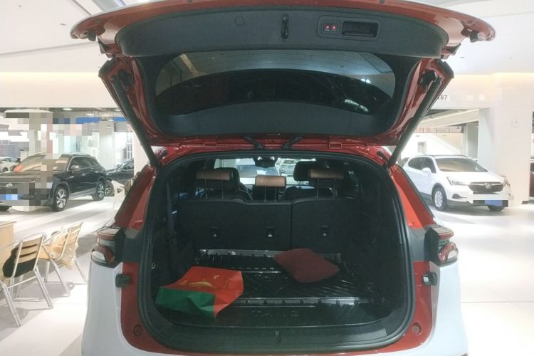 Used BYD Tang New Energy 2021 DM-i 112KM Prestige Model