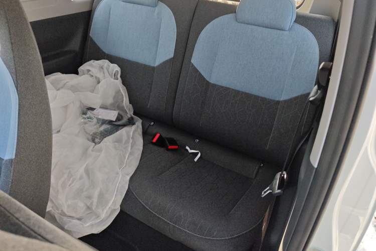 Used  Panda 2024 Panda Mini 200km Endurance Bear