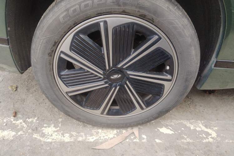 Used Chery Fengyun T10 2024 210 Luxury Edition
