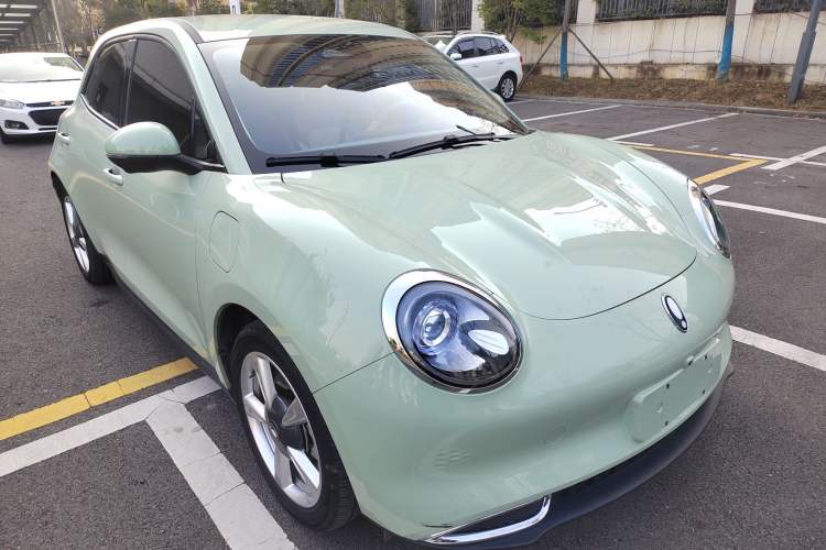 Used ORA Good Cat 2021 500km Long-Range Business Edition Lithium-NMC
