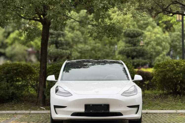 Used Tesla Model 3 2020 Revised Version Standard Range Rear-Wheel Drive – Upgraded Edition
