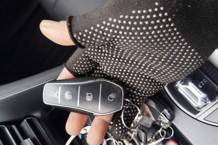 Used BYD Sealion 05 DM-i 2025 DM-i Smart Drive 115KM Flagship Model
