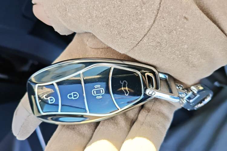 Used Hongqi HS5 2025 2.0T Two-Wheel Drive 600 000-Vehicle Commemorative Edition
