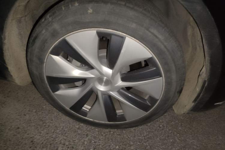 Used Tesla Model Y 2022 Revised Version Rear-Wheel Drive