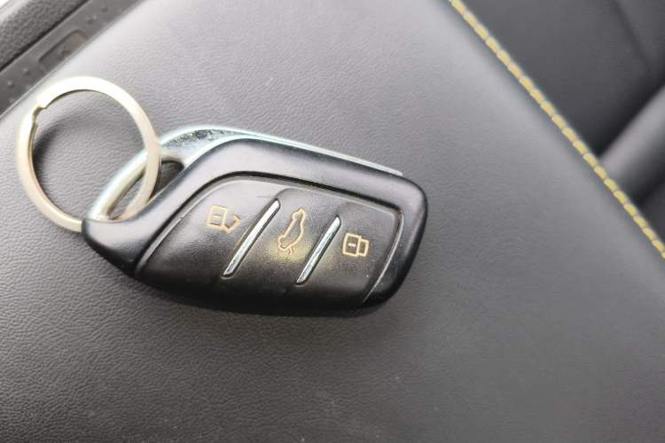 Used Roewe RX5 New Energy 2020 ePLUS National Trend Ronglin Luxury Edition
