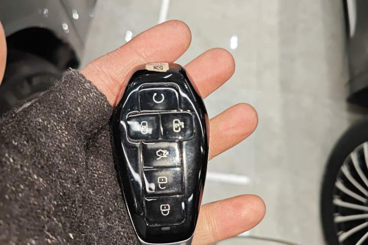 Used Denza D9 2025 DM-i Intelligent Drive 1020 Four-Wheel Drive Flagship Model