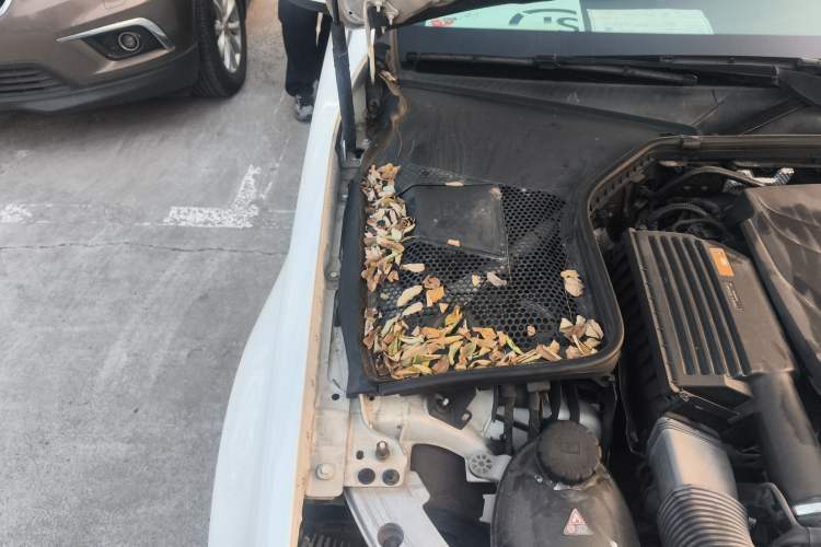 Used Mercedes-Benz C-Class 2017 Facelift C 200 L Sport Edition
