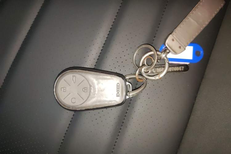 Used  Lingyun 2024 300T Two-Wheel Drive Starlight Edition
