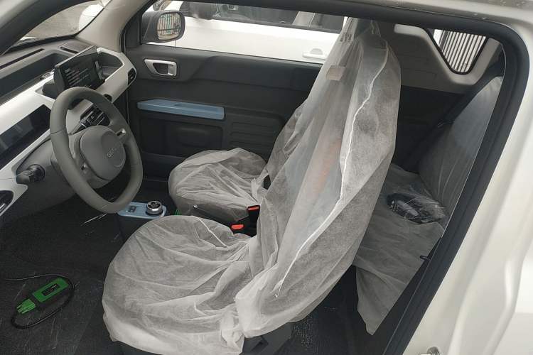 Used  Panda 2024 Panda Mini 200km Endurance Bear
