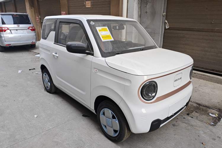 Used  Panda 2024 Panda Mini 200km Endurance Bear
