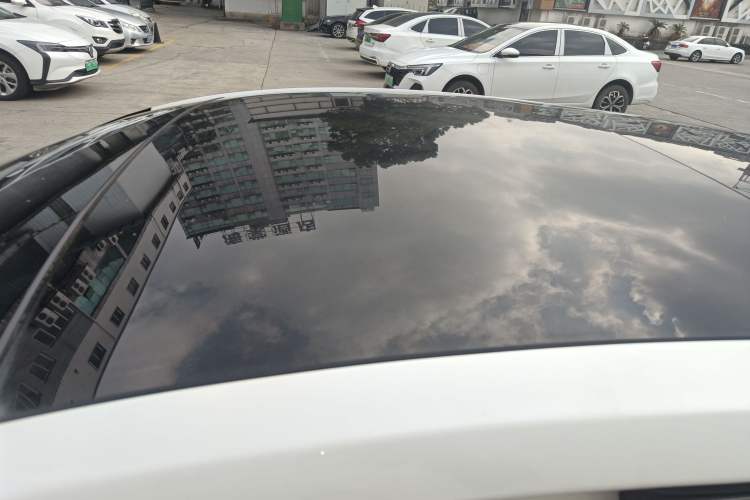 Used Ford Focus 2019 Hatchback EcoBoost 180 Automatic ST Line
