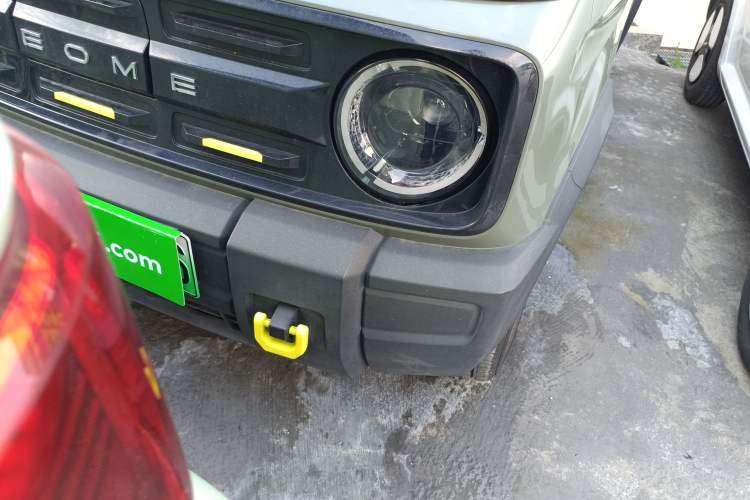 Used  Panda 2024 200km Panda Rider